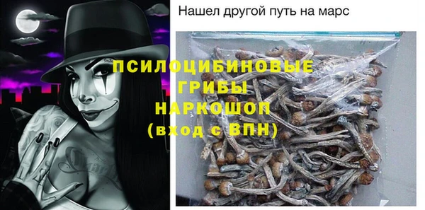 гашик Лиски