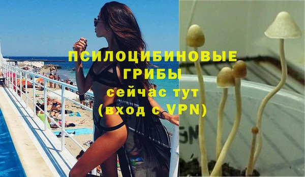 2c-b Лабытнанги
