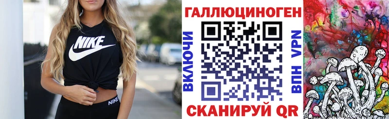 Купить где  Светлый  Галлюциногенные грибы Psilocybe 