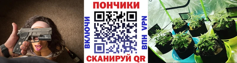 Каннабис индика  Купить где  Светлый 